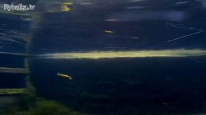 Воблер DUO Realis Jerkbait. Подводная съемка. Underwater