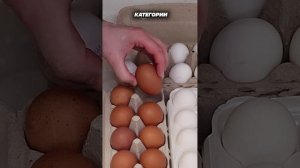 Как выбрать яйца в магазине? #яйца #лайфхак #лайфхакидлядевочек #блины #масленица #продукты #кухня