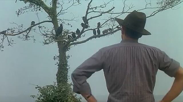 Укрощение строптивого - с ними можно договориться смотреть онлайн