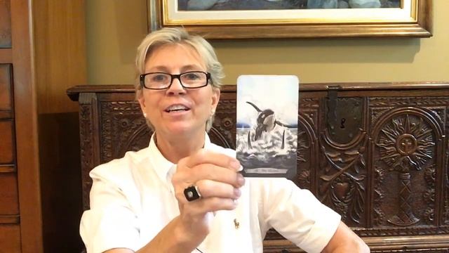 New Card Deck Reviews, Druid Animal Oracle Deck, Animal Totem Tarot смотреть онлайн