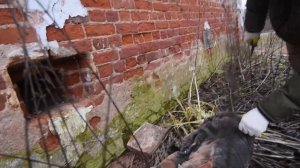 Закрыть продухи = убить дом в деревне!