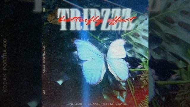 Butterfly Effect