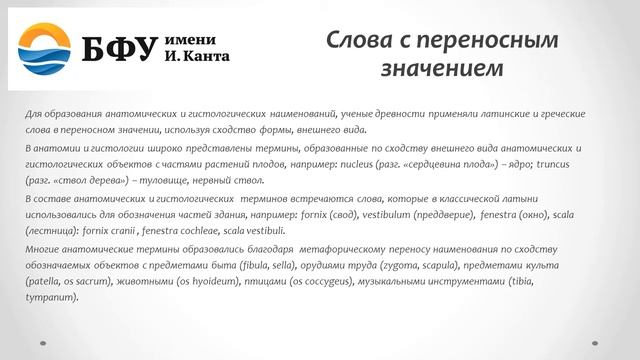 Анатомическая номенклатура. Структура термина.