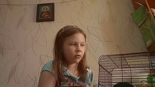 TAG: Мои домашние животные 😻 смотреть онлайн