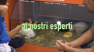 Zooplanet I Gigli Firenze