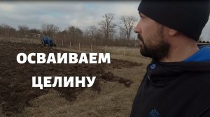 ПЕРЕЕЗД В ДЕРЕВНЮ \ ОСВАИВАЕМ ЦЕЛИНУ.#купилдомвдеревне #переездвдеревню #хутор