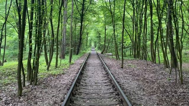 Тунель коханя #ровно смотреть онлайн