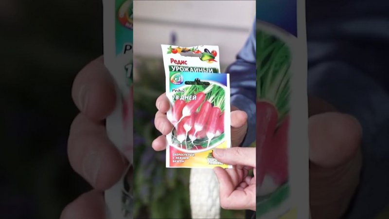 Супер ранние овощи, которые я сажаю каждый год
