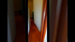 стиральная машина Аег, замена подшипника боробана.