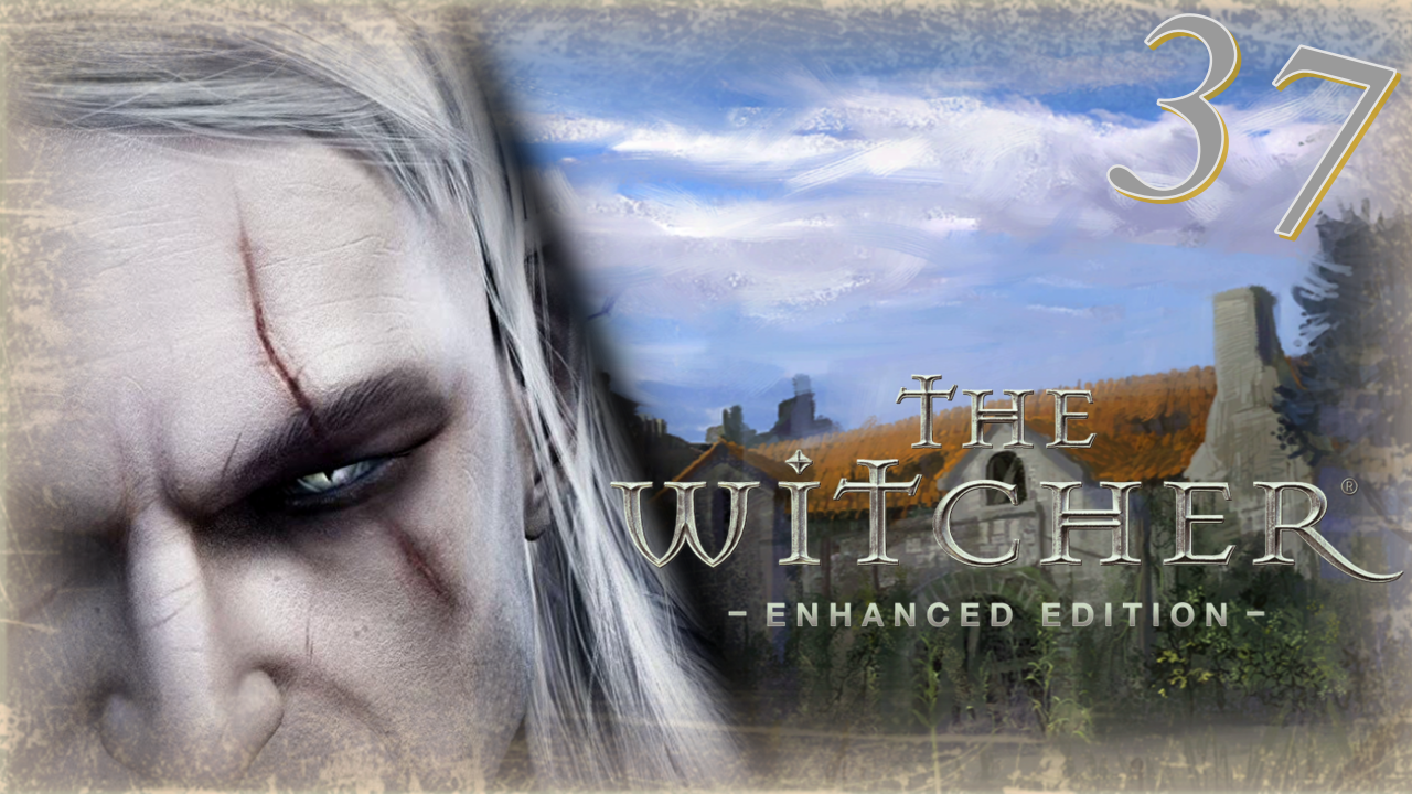 The Witcher (Ведьмак) - Прохождение Часть 37 (Алина, Склеп И Трофеи) смотреть онлайн