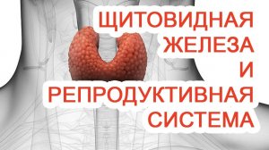 Щитовидная железа и репродуктивная система / Доктор Черепанов