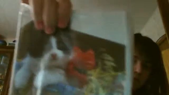 Видео c веб-камеры от  7 марта 2015 г., 10:54 (UTC) смотреть онлайн