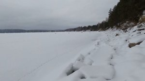 Зимний поход в лес. Бушкрафт. Наташа  с бензопилой ECHO CS-3500