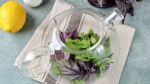 Чай из базилика