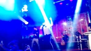 Саша Айвазов «Лилии для Лилии»