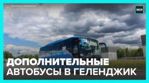 Дополнительные автобусы запустили между Москвой и Геленджиком - Москва 24