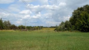 ЛЭП кВ  пасека. Стоит ли?