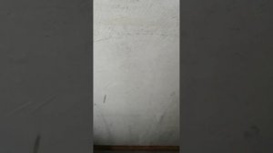 Отзыв на Антикор для арок, и днища автомобиля. HB BODY 950