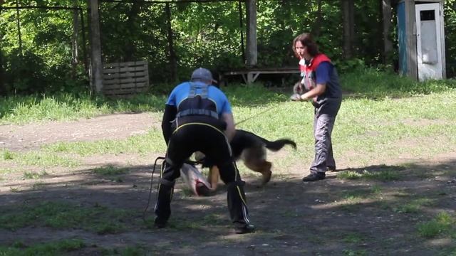 ЛА Формула Удачи (10 мес) смотреть онлайн