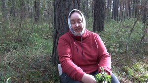 БРУСНИЧНИК || Полезные свойства