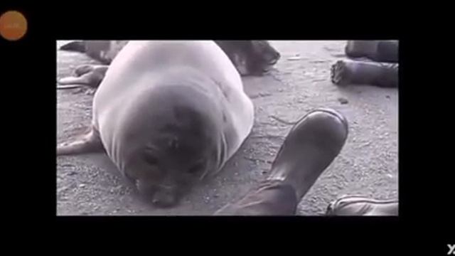 Будь здоров смотреть онлайн