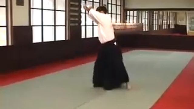 Real aikido айкидо перемещения, кувырки смотреть онлайн