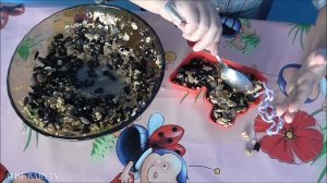 ?КОРМУШКА для ПТИЦ СЫТНЫЕ УКРАШЕНИЯ как сделать дома. Сделать кормушку для птиц своими руками видео