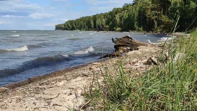 За грибами смотреть онлайн