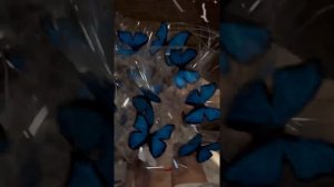 Букет из бабочек видеоинструкция