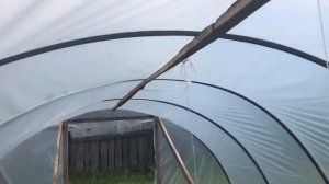 Теплица из профильной трубы своими руками