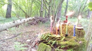 чистка от лярв,сущностей,подселений,негатива,защита,поднятие вибраций на позитив,чистка ментала
