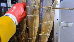 ПИКША ТРЕСКА ОКУНЬ ГОРЯЧЕГО КОПЧЕНИЯ НА ОБОРУДОВАНИИ МОСКИТ
