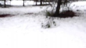 Деревня Париж)))