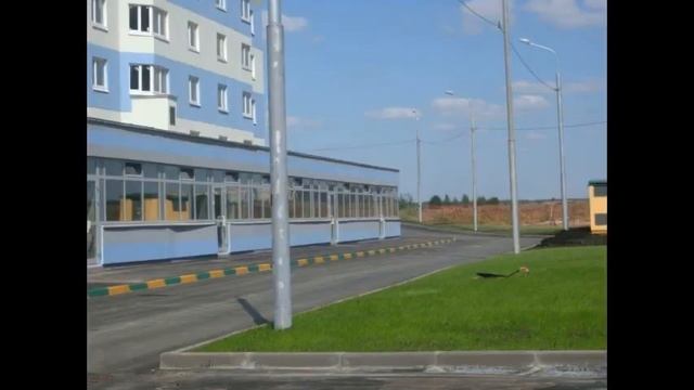 Квартира-студия в г. Домодедово, Южнодомодедовская, 17 смотреть онлайн