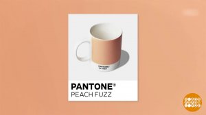 "Персиковый пушок" - цвет 2024 года! Доброе утро. Фрагмент выпуска от 11.12.2023