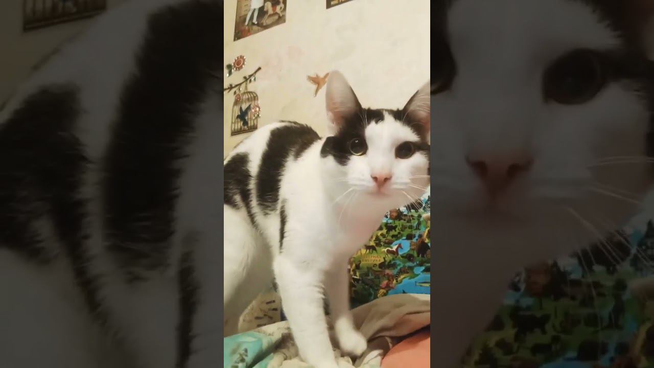 Мнём мы мнём, массаж бесплатно.⬛