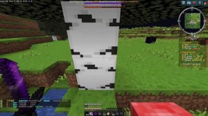 ЛУЧШИЙ ГРИФ НА СЕРВЕРЕ LONYGRIEF СЛИЛ ВСЕХ ТОПЕРОВ REALLYEORLD | FUNTIME