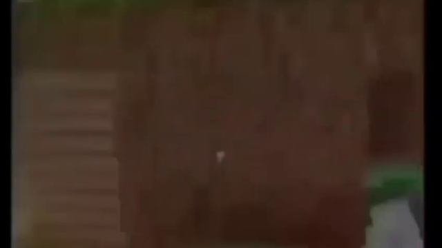 Самое быстрое видео года