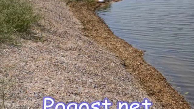 камышеватская отдых