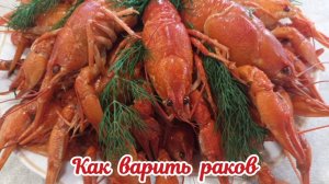 Как правильно варить раков. Варёные раки. Раки.