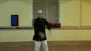 Учебное видео. Базовая техника Кунг Фу.