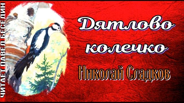 Дятлово колечко ,Николай Сладков, Рассказы о природе ,читает Павел Беседин смотреть онлайн