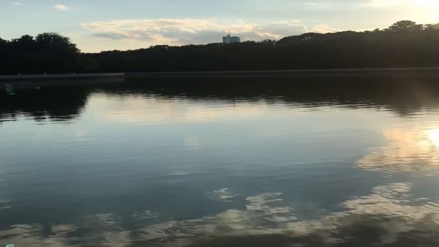 ПРЕДАЛА ПРЯМО НА ПОМИНКАХ, ПОЛНОЕ ОТСУТСТВИЕ МОРАЛИ.Поучительные интересные истории и аудио рассказ