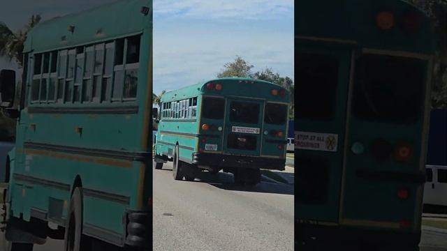 Автобус с рабочими эмигрантами отправляется на апельсиновую плантацию в Плант Сити, Флорида. смотреть онлайн