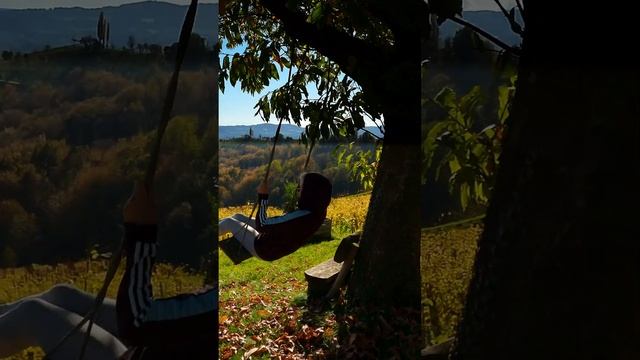 The Colours of Autumn. Austria Steiermark Weinstrasse Oct.2022 #shorts #weinstrasse #austria