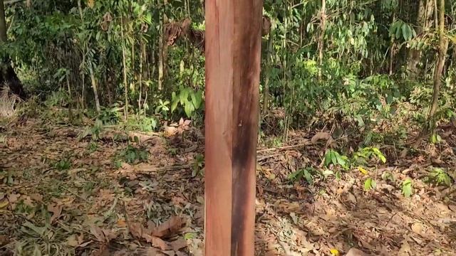 Боливия - земля свободы. новости смотреть онлайн