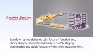 KYB Lowfer Sports Suspension