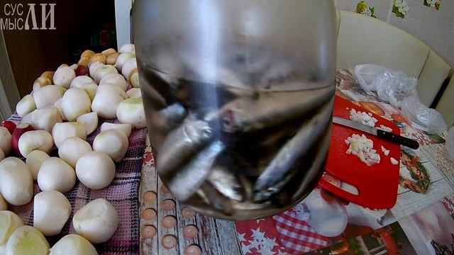 Заготовка редиса на зиму / Посол кильки смотреть онлайн