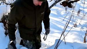 Ищем волчью стаю,охота петлями вдоль горной реки