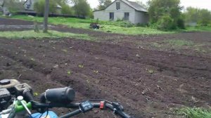 Первый тест приспособления для прополки и как не нужно пропалывать кукурузу